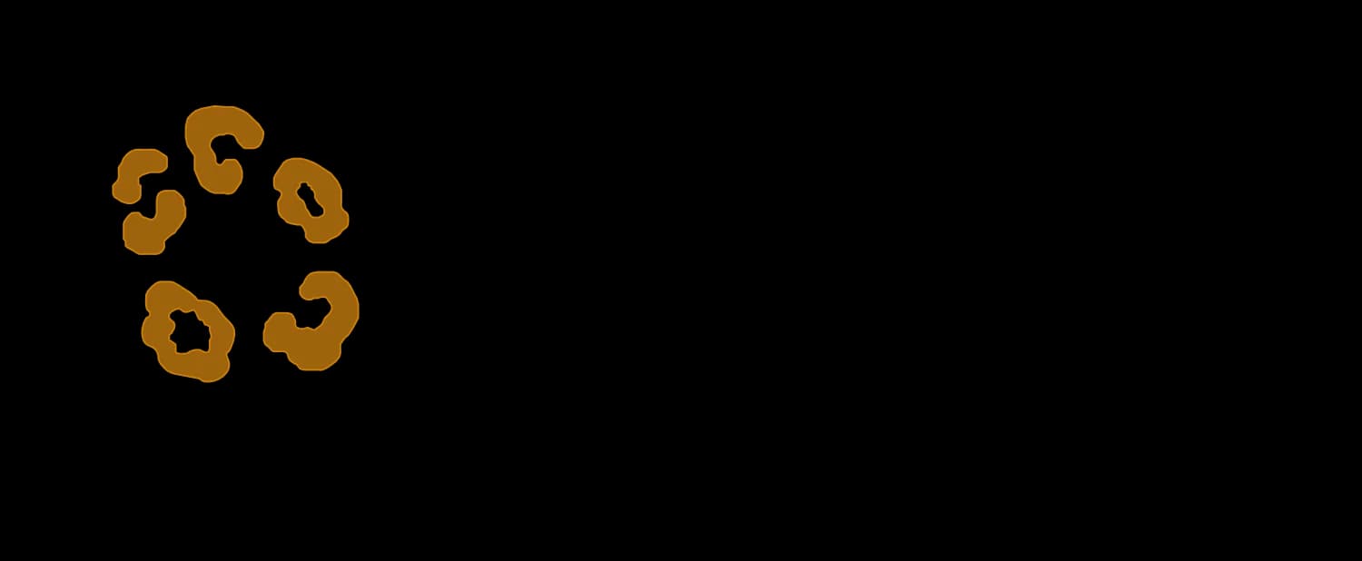 Onça